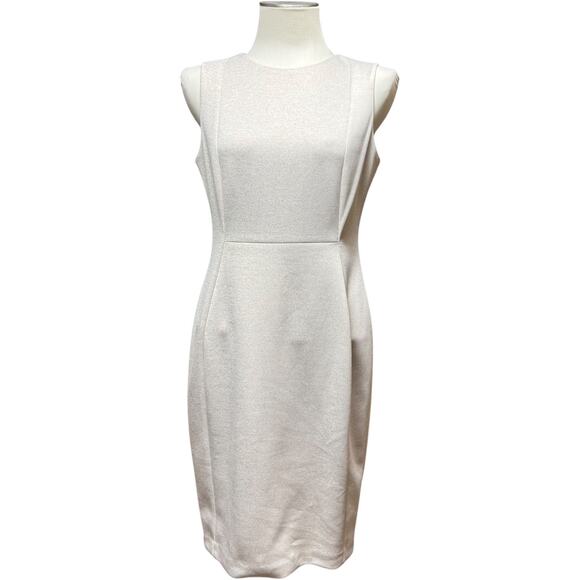 Calvin Klein Sleeveless Sheath Dress Oat 8 - Picture 1 of 7